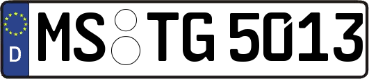 MS-TG5013