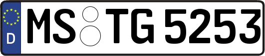 MS-TG5253