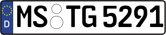 MS-TG5291