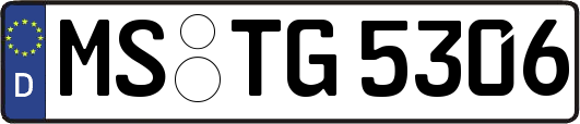 MS-TG5306