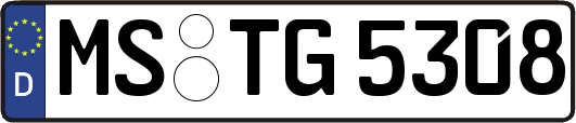 MS-TG5308