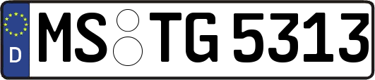 MS-TG5313