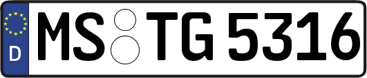 MS-TG5316