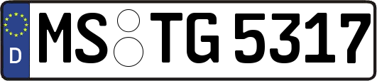 MS-TG5317