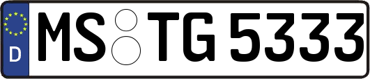 MS-TG5333