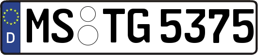 MS-TG5375