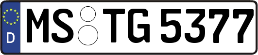 MS-TG5377