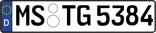 MS-TG5384