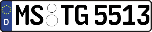 MS-TG5513