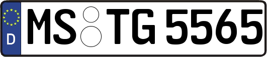MS-TG5565
