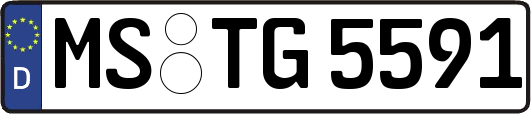 MS-TG5591