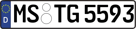 MS-TG5593