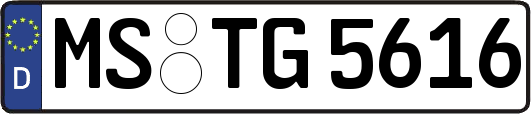 MS-TG5616