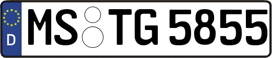 MS-TG5855