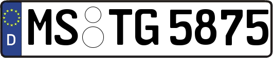 MS-TG5875