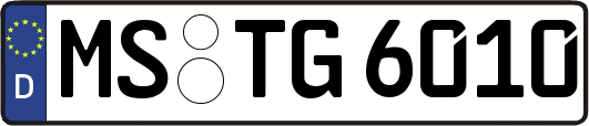 MS-TG6010