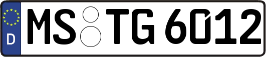MS-TG6012