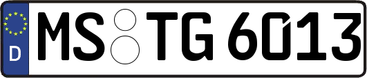 MS-TG6013
