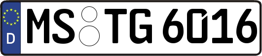 MS-TG6016