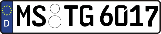MS-TG6017