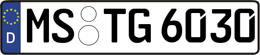 MS-TG6030