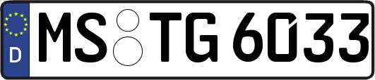MS-TG6033