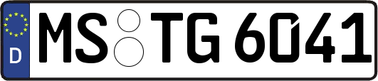 MS-TG6041
