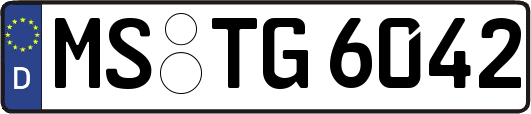 MS-TG6042