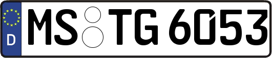 MS-TG6053