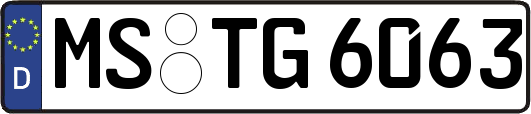 MS-TG6063