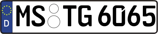 MS-TG6065