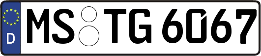MS-TG6067