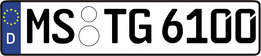 MS-TG6100