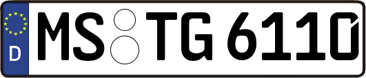 MS-TG6110