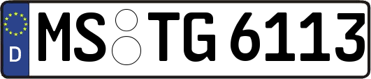MS-TG6113