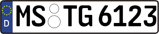 MS-TG6123