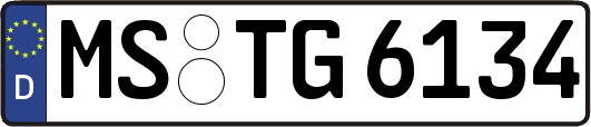 MS-TG6134
