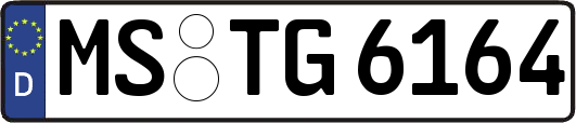 MS-TG6164