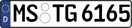 MS-TG6165