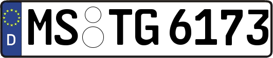 MS-TG6173