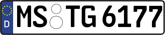 MS-TG6177