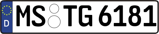 MS-TG6181