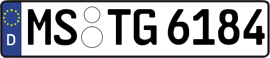 MS-TG6184