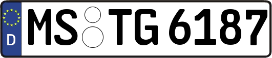 MS-TG6187