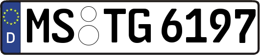 MS-TG6197