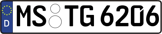 MS-TG6206