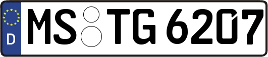 MS-TG6207