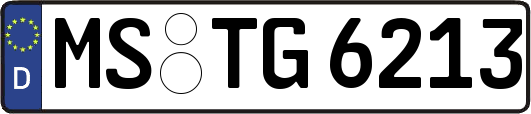 MS-TG6213