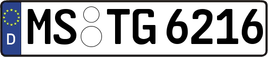 MS-TG6216