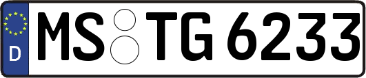 MS-TG6233